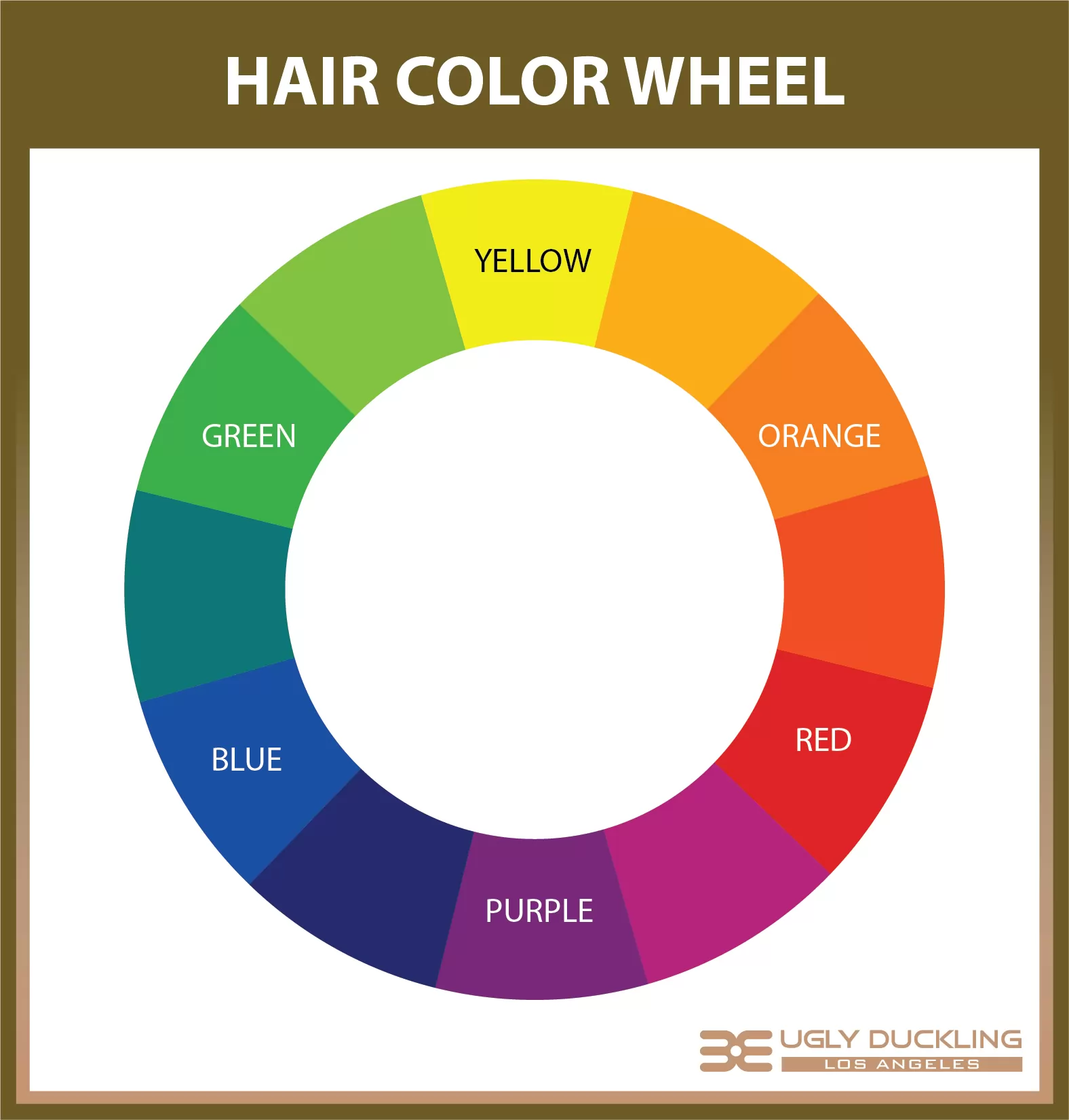 (7) Hair Color Wheel (1) 